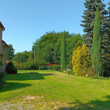 Apartman Za Lesem Червени Костелец Екстер'єр фото